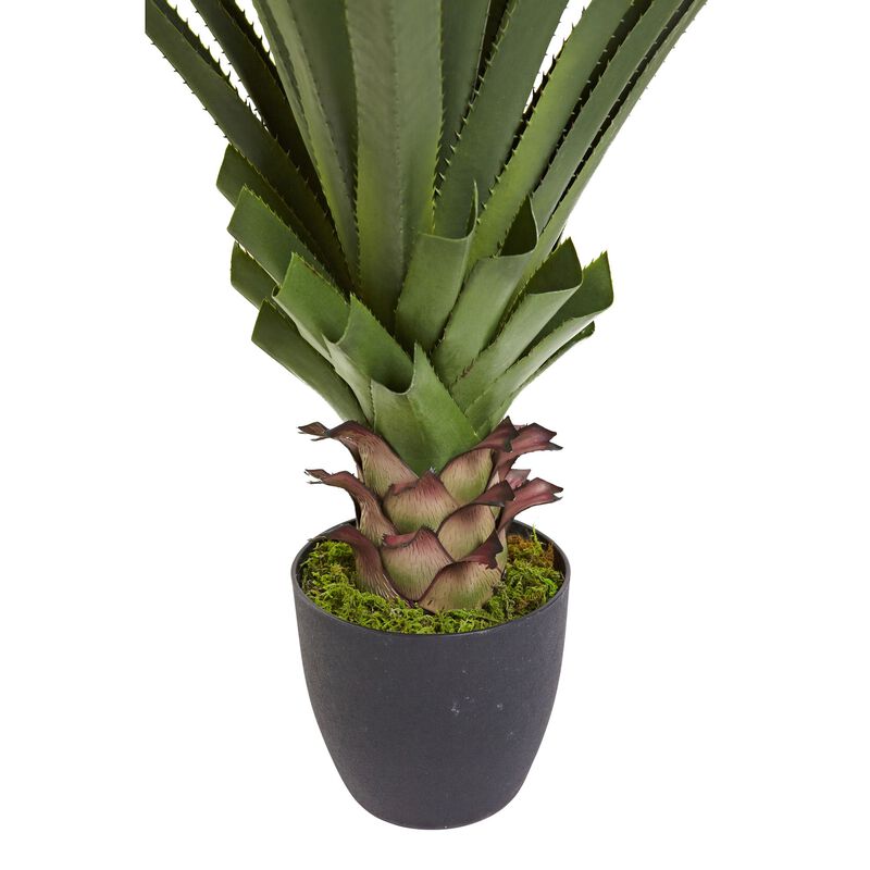 Hivvago 4" Spiked Agave Plant