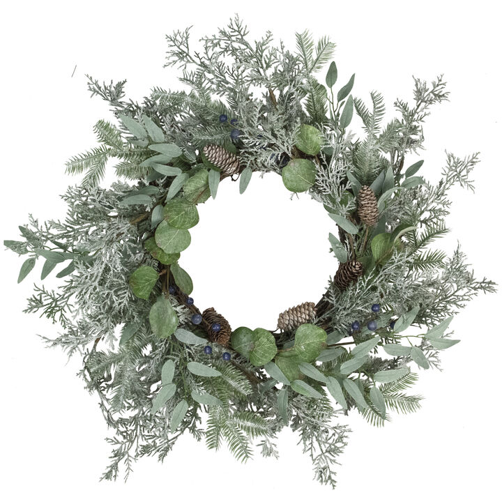 Frosted Green Mixed Foliage and Blueberries Artificial Christmas Wreath  26-Inch  Unlit