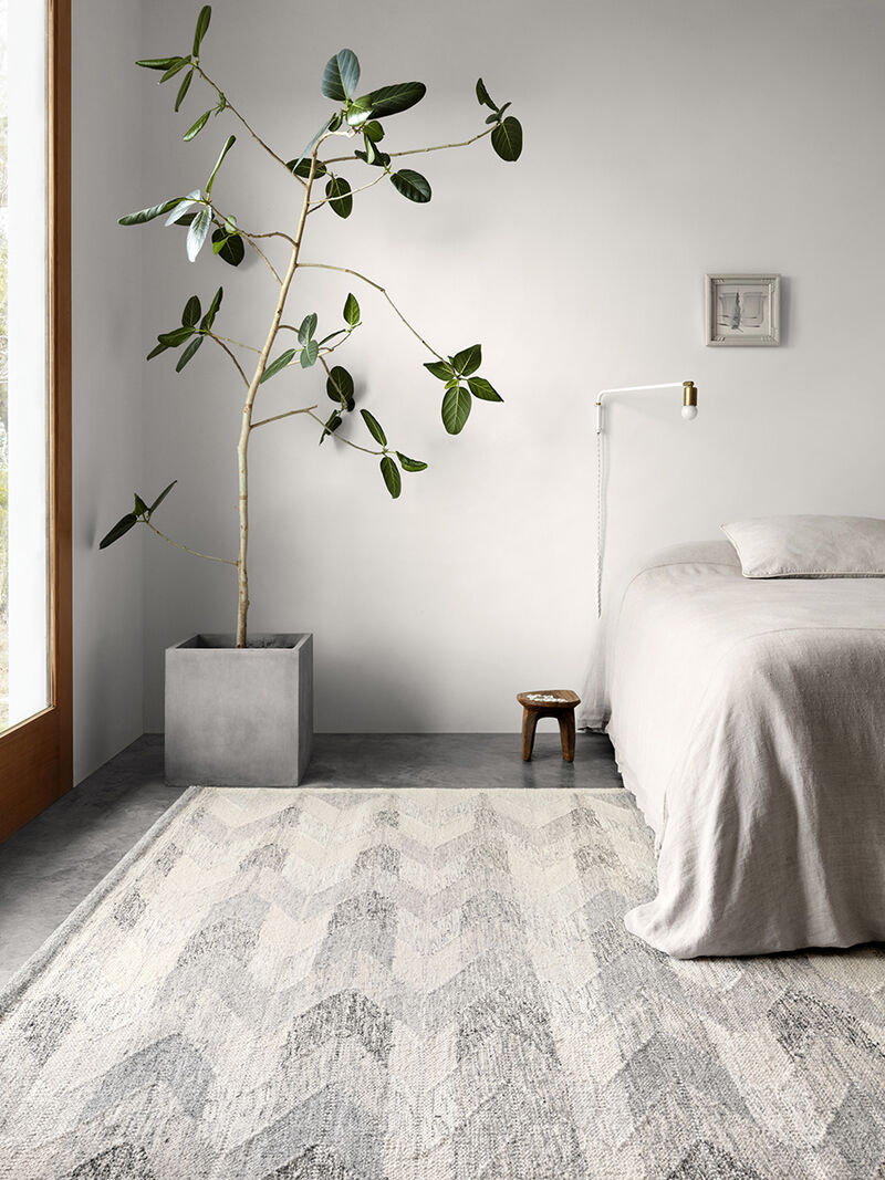 Evelina EVE02 Pewter/Silver 3'6" x 5'6" Rug
