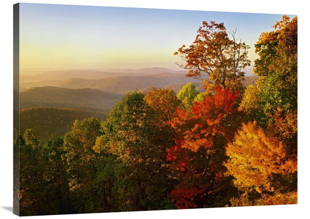 Blue Ridge Mountains from Bluff Mountain Overlook, North Carolina-Canvas Art-40x30