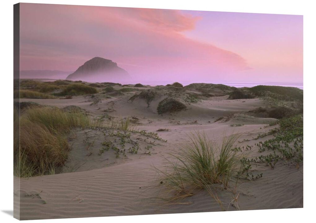 Morro Rock at Morro Bay, California-Canvas Art-40x30