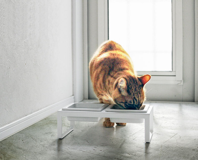 Pet Food Bowl - Two Styles