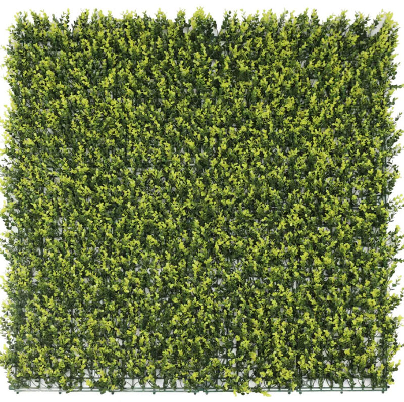 Yellow English Artificial Boxwood Wall 40" x 40" 11SQ FT Commercial Grade UV Resistant