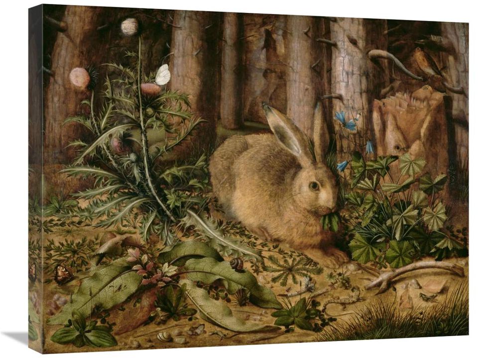 A Hare in the Forest-Canvas Art-28x22