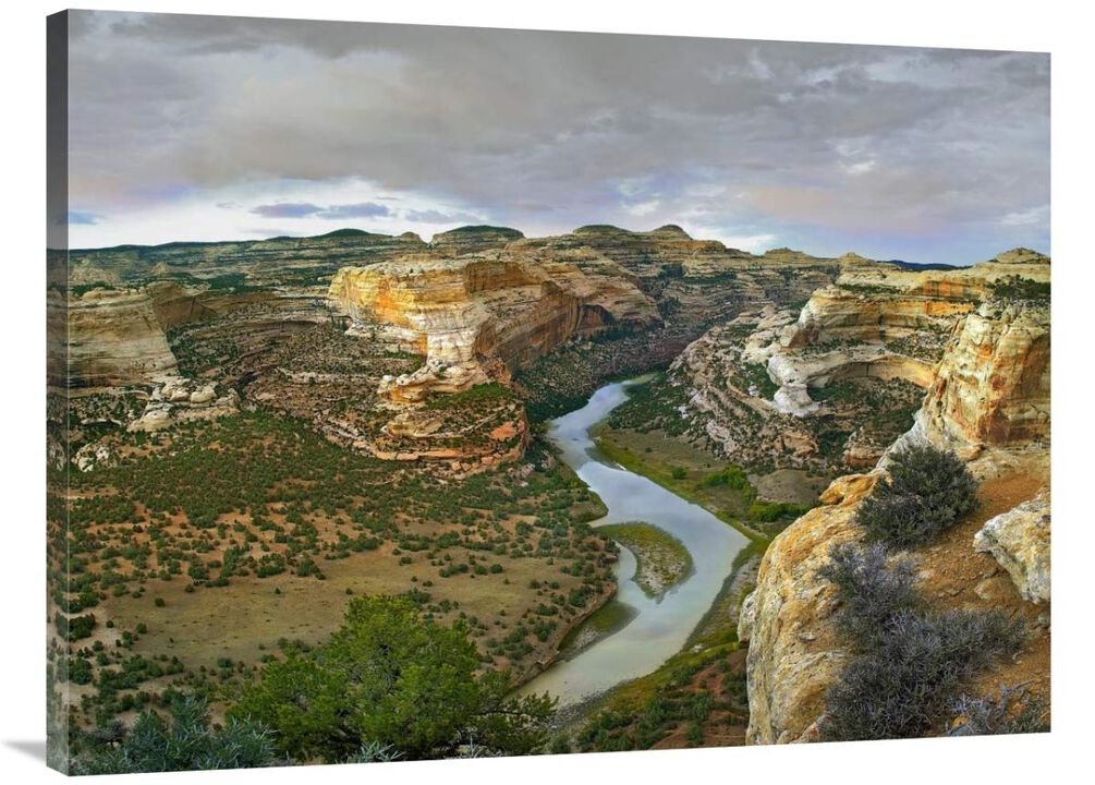 Yampa River flowing through canyons, Dinosaur National Monument, Colorado-Canvas Art-40x30