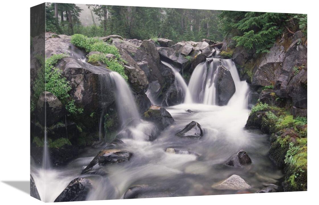 Paradise River cascade, Mt Rainier National Park, Washington-Canvas Art-16x12