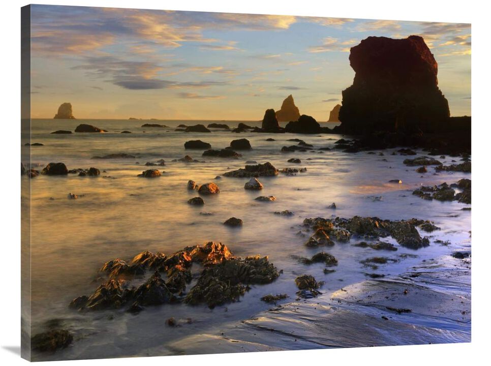 Seastacks, Lone Ranch Beach, Oregon-Canvas Art-40x30