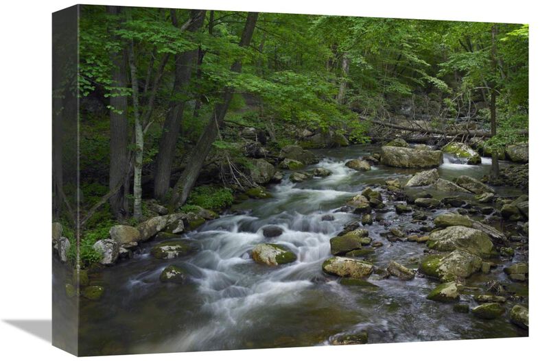 Little Stony Creek flowing through Jefferson National Forest, Virginia-Canvas Art-16x12