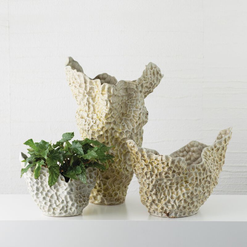 Barrier Reef Vase