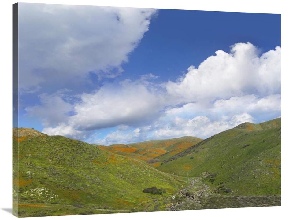 Temescal Hills, southern California-Canvas Art-40x30