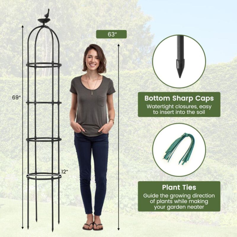 Hivvago 2-Pack Garden Obelisk Trellis for Climbing Plants