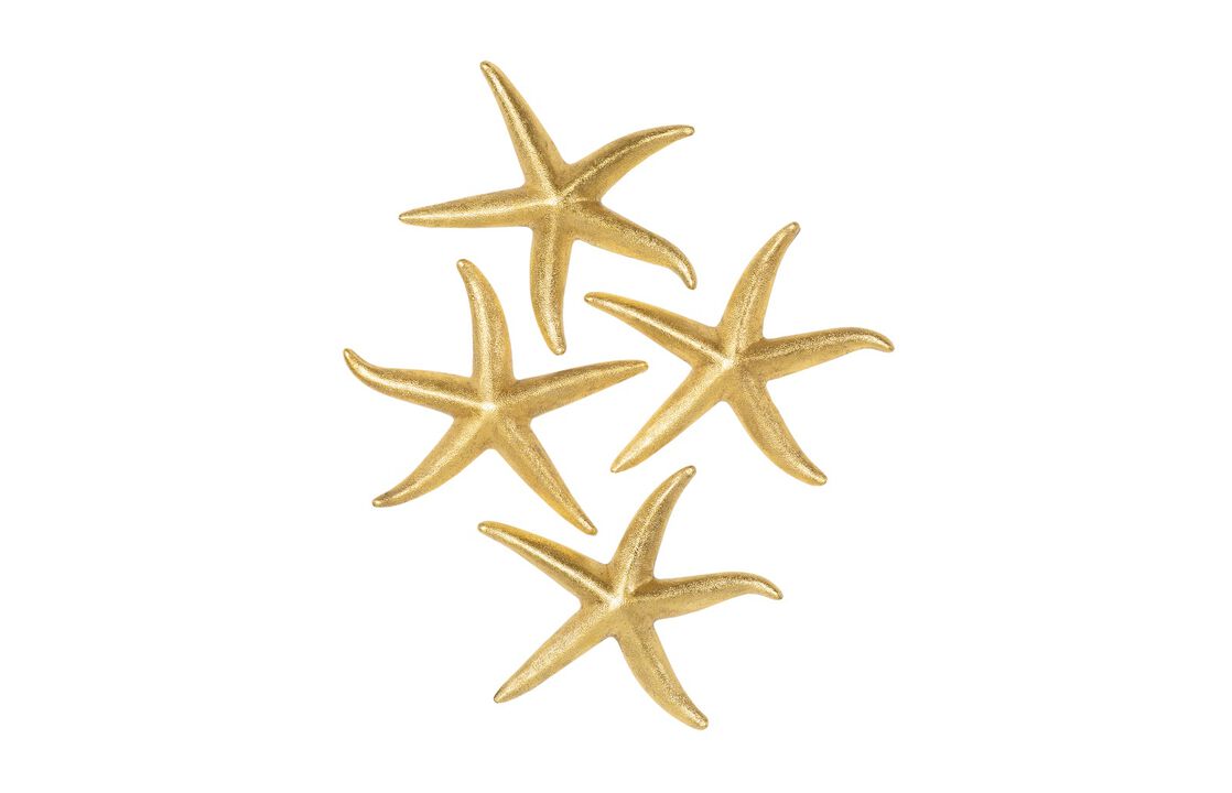 Starfish Medium Set of 4