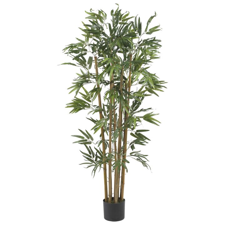 Hivvago 4 Feet Multi Bambusa Bamboo Silk Tree