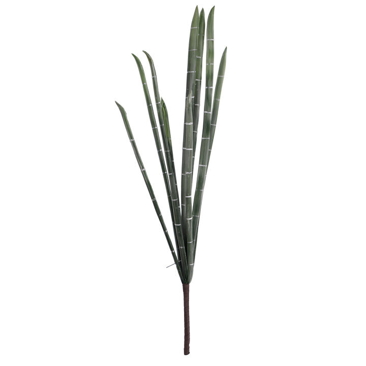 Giant Bamboo Bunch