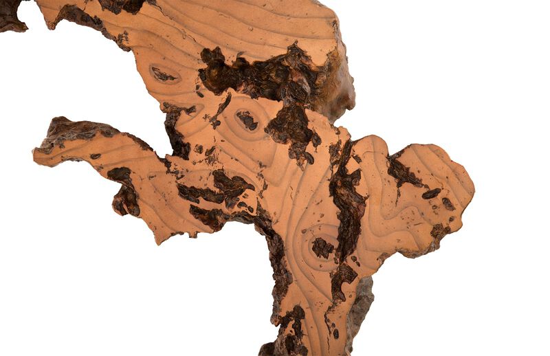 Burled Root Medium Wall Art