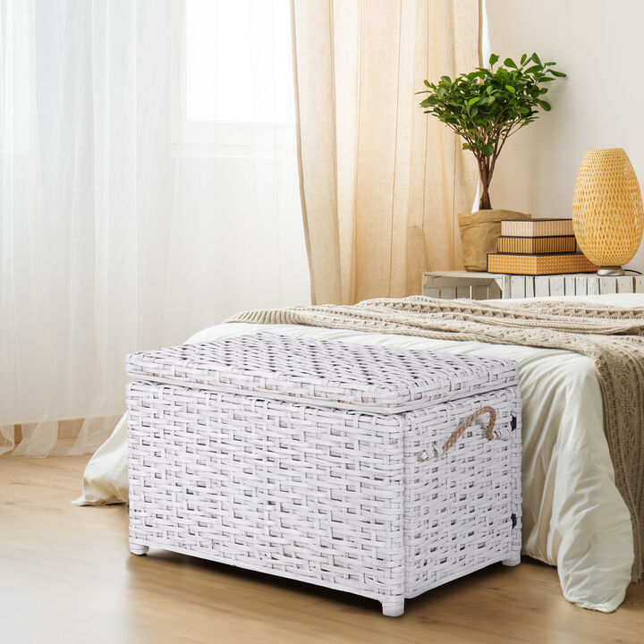 Jacob Wicker Storage Trunk