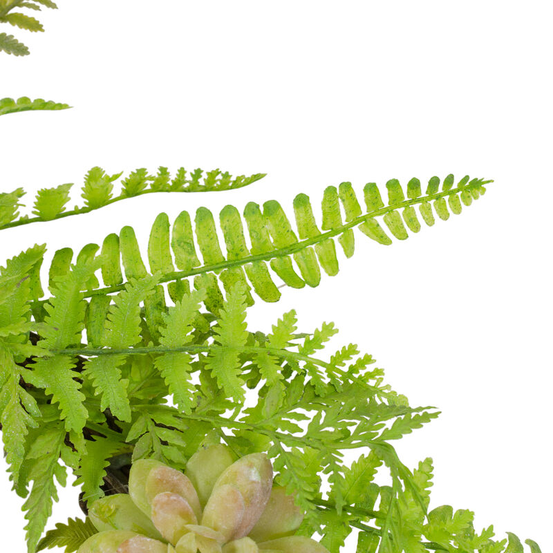 Succulents and Foliage Artificial Spring Twig Wreath  Green - 22-Inch