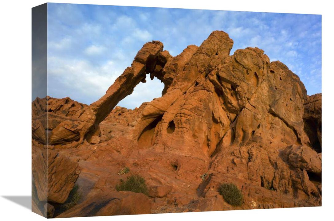 Elephant Rock, a unique sandstone formation, Valley of Fire State Park, Nevada-Canvas Art-16x12