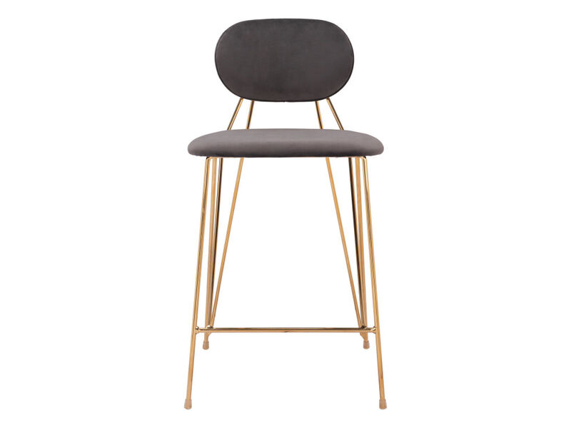 Georges Counter Stool (Set of 2) Gray & Gold