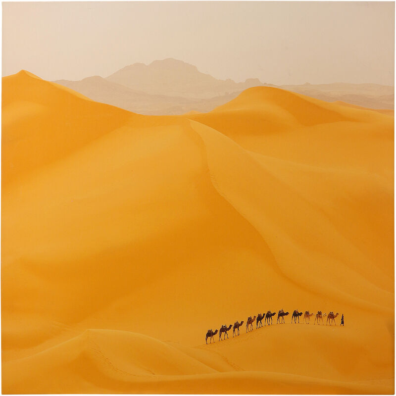 Camels Caravan
