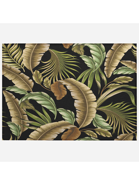 Tropics TC1 Collection