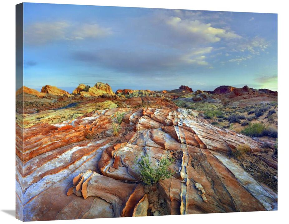 Rainbow Vista, Valley of Fire State Park, Nevada-Canvas Art-30x24.9