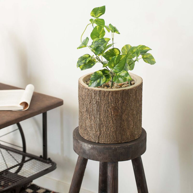 Wooden Stump Tree Branch with Bark Succulent Planter Pot Flower Shelf