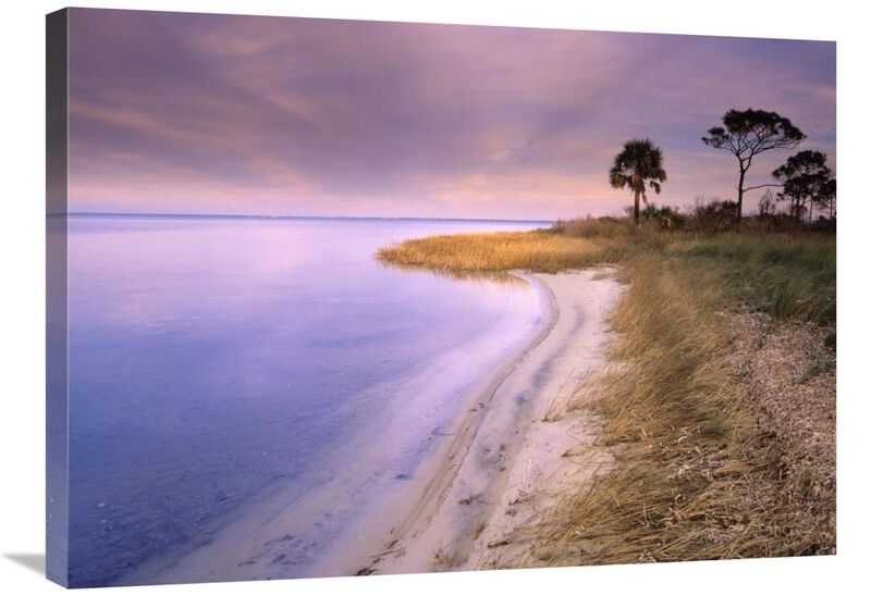 Beach along Saint Josephs Bay, Florida-Canvas Art-32x24