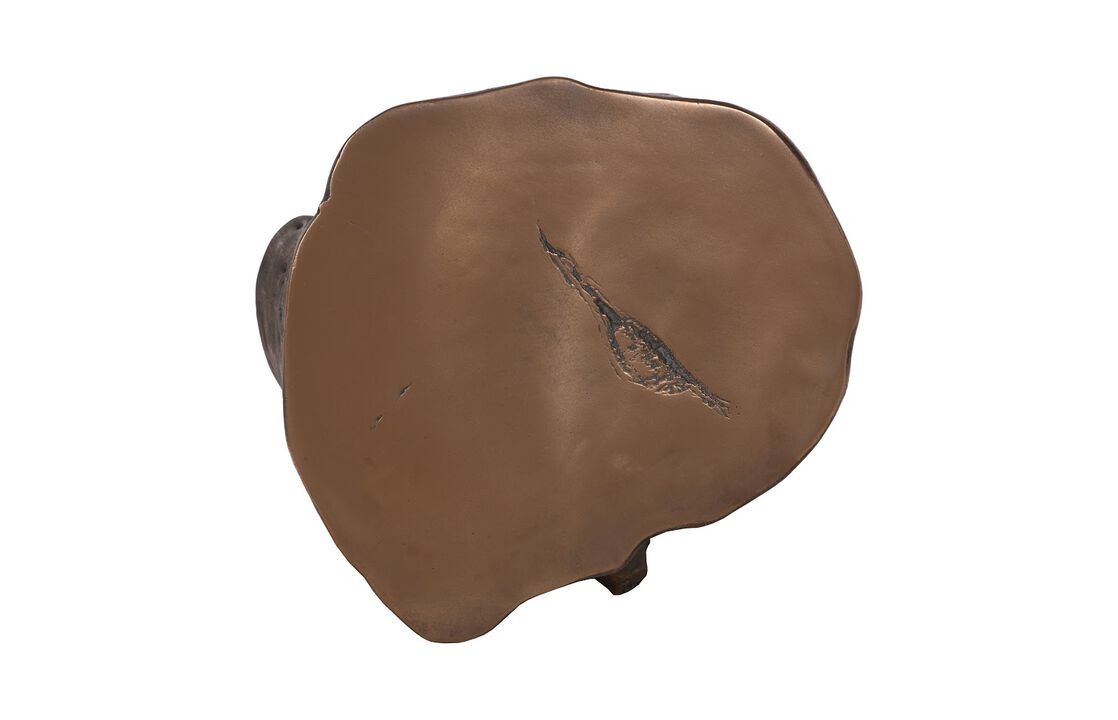 Log Large Stool