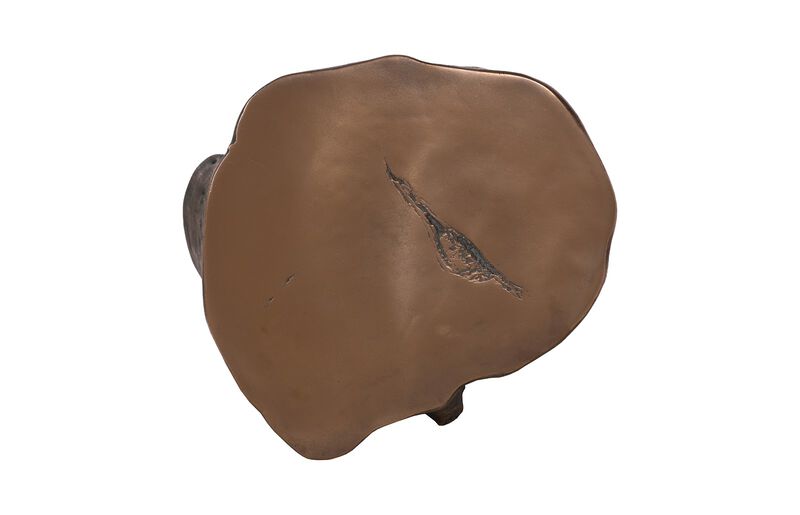 Log Large Stool