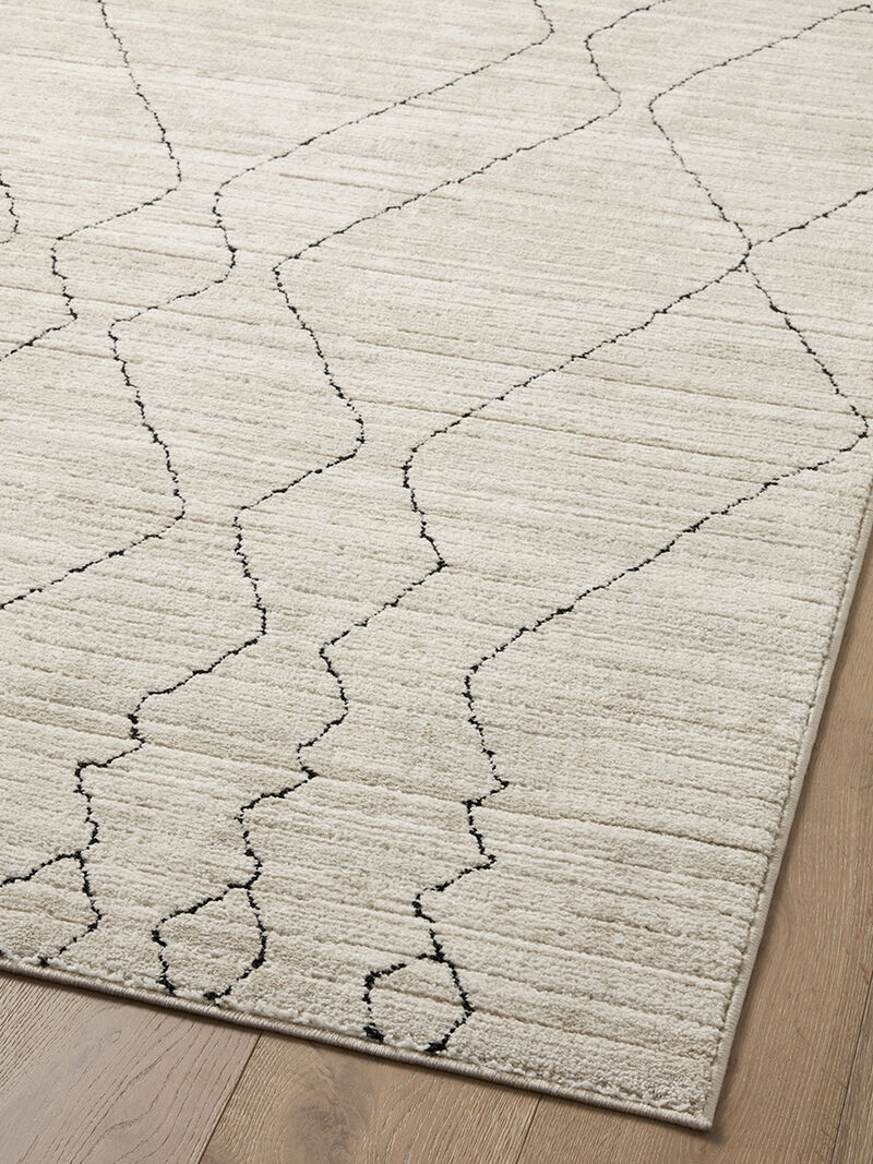 Darby DAR03 Collection by Loloi II