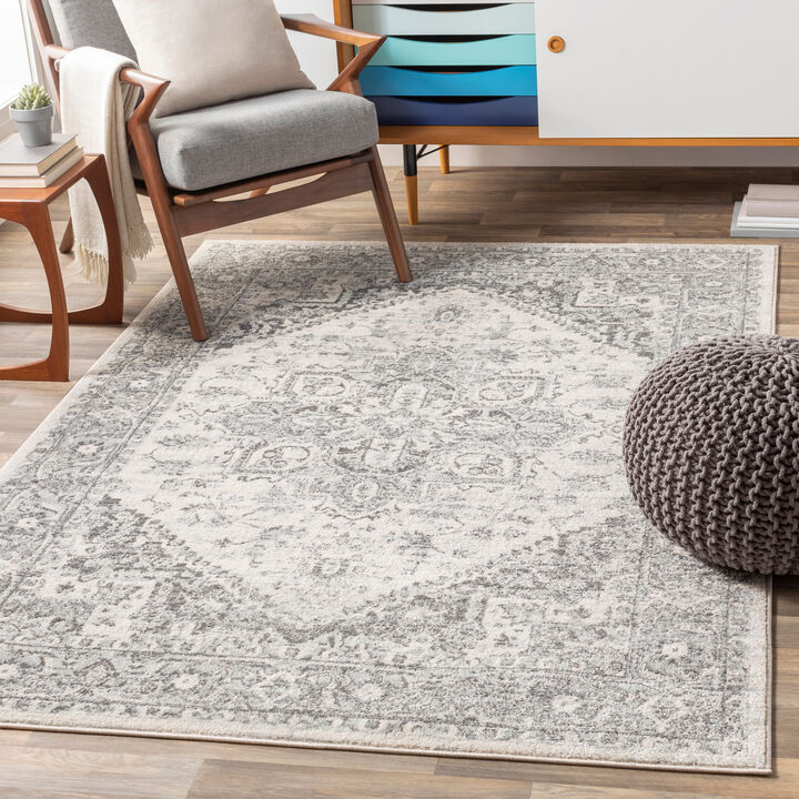 Chester CHE-2312 5'3' x 7'3' Gray Rug