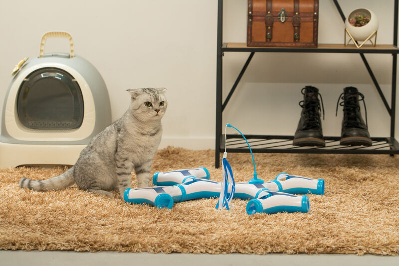 Configurable Interactive Cat Toy with Spring Feather Teaser