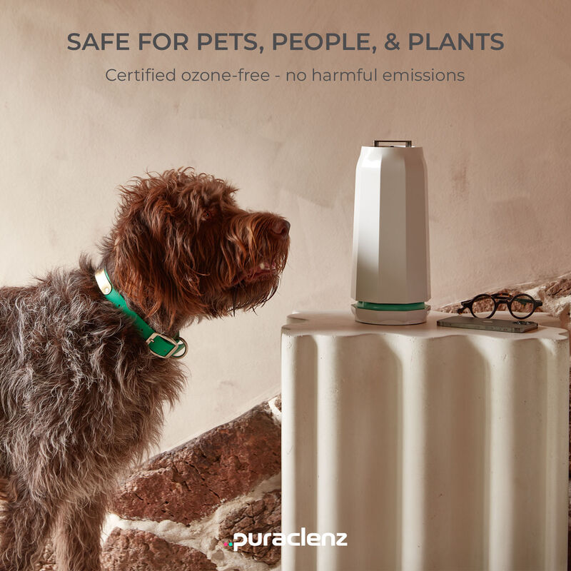 Puraclenz Photon P3000X Air Purifier for Home, Air & Surface Purification, Up to 3000 sqft, Removes 99% Pollutants, Mold, Odors, Viruses, & More, Ozone-Free