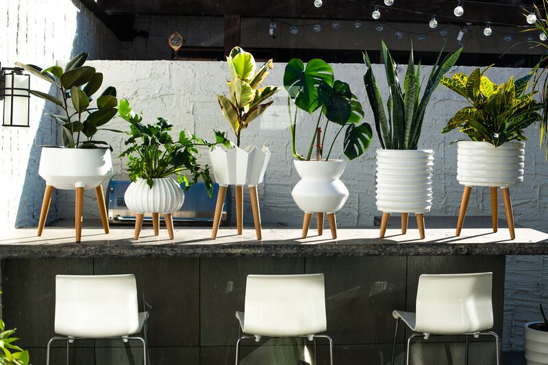 Bloom Ceramic Planter w/beech wood legs-matte white