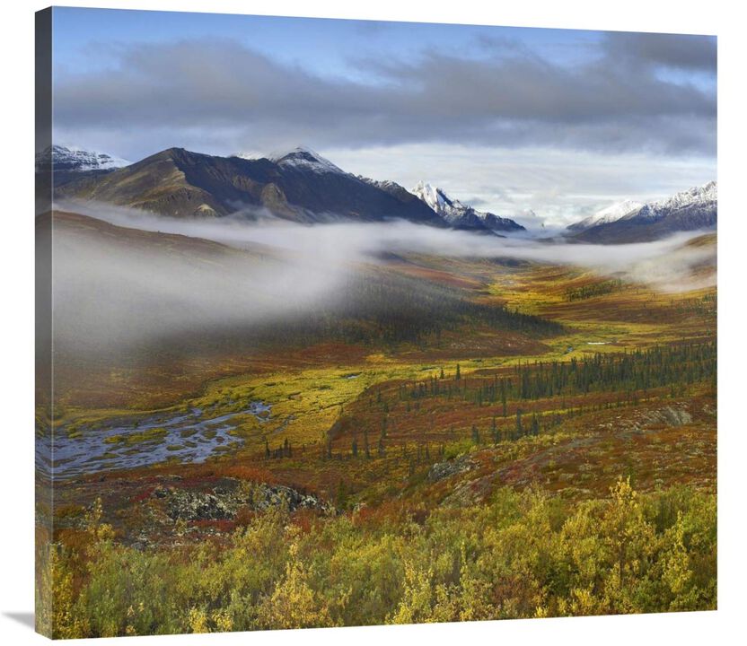 Fog over tundra, Tombstone Range, Tombstone Territorial Park, Yukon, Canada-Canvas Art-36x32.76