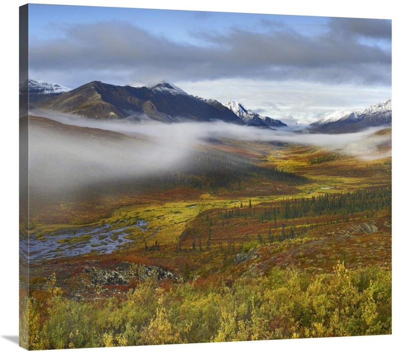 Fog over tundra, Tombstone Range, Tombstone Territorial Park, Yukon, Canada-Canvas Art-36x32.76