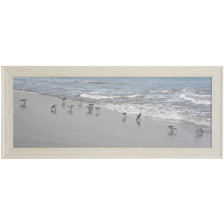 Shore Birds