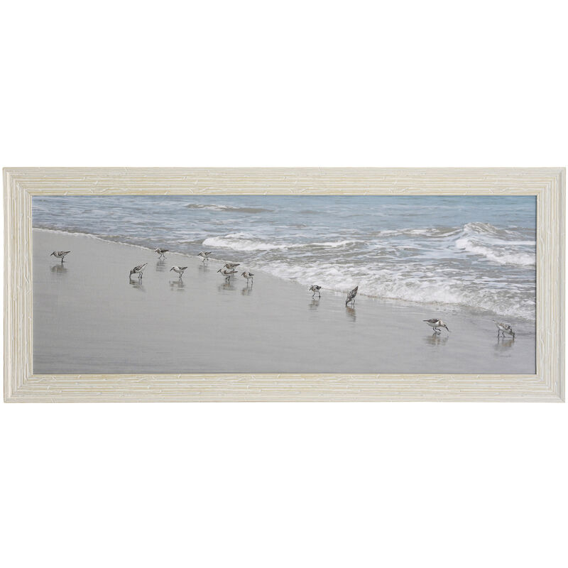 Shore Birds
