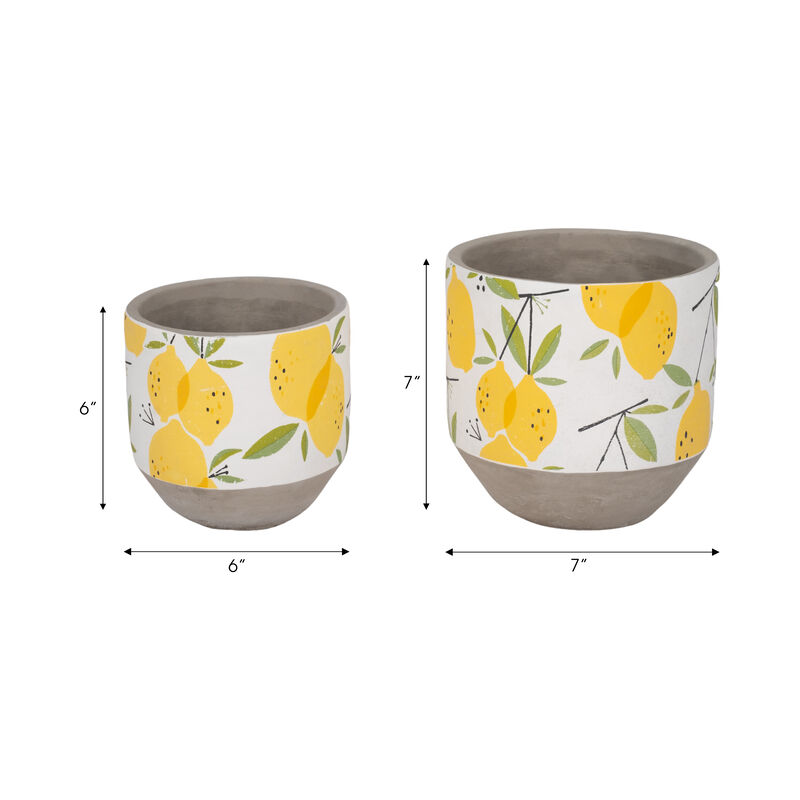 Growing Lemons Planter