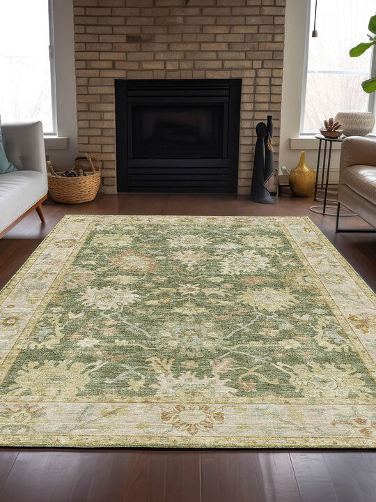 Hatay HY2 Aloe 10' x 14' Rug