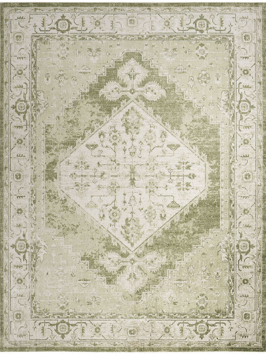 Astra Machine Washable ASW11 Ivory/Green 9' x 12' Rug