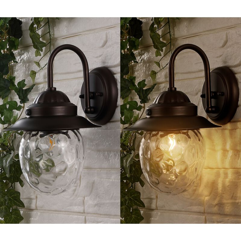 Rodanthe 1-Light Farmhouse Industrial Iron/Glass Outdoor LED Sconce