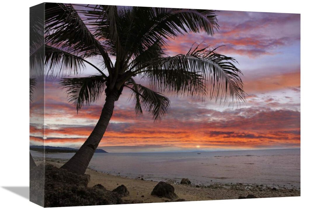 Coconut Palm at sunset near Dimiao, Bohol Island, Philippines-Canvas Art-16x12