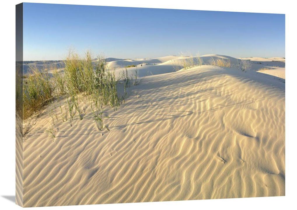 Sand dunes, Monahans Sandhills State Park, Texas-Canvas Art-32x24