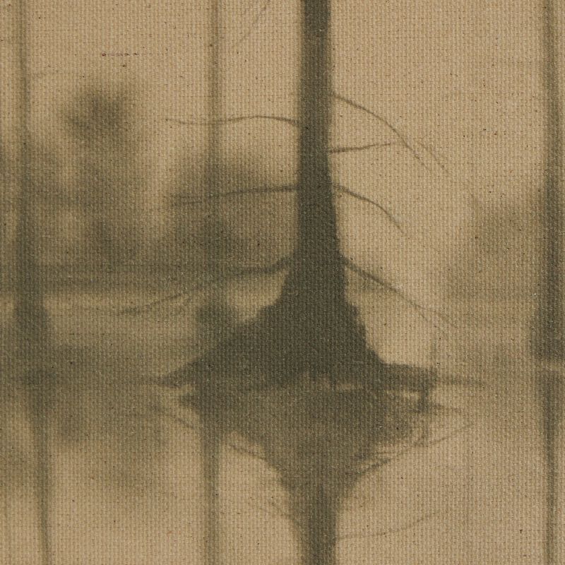 Reflection By Chelsea Fly