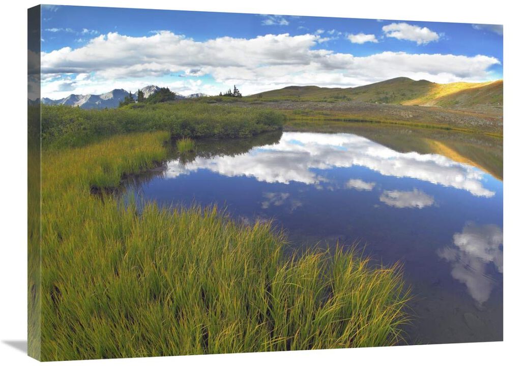 Sky reflected in water Cottonwood Pass, Colorado-Canvas Art-32x24