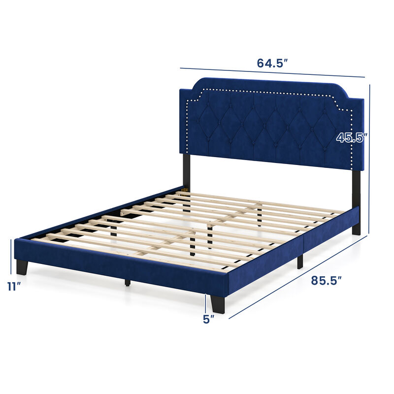 Queen Size Velvet Platform Bed with Button Tufted and Nailhead Trim Headboard