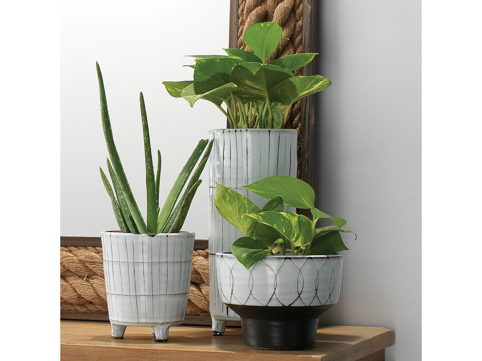 Striae Vessels Set of 3