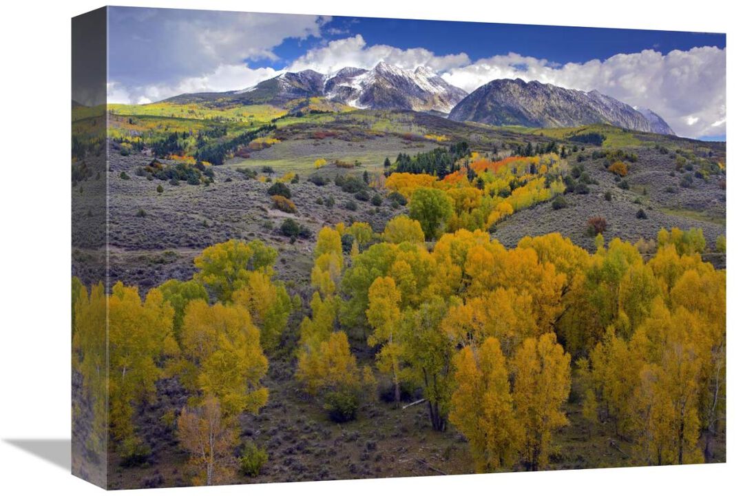 Fall colors at Chair Mountain, Colorado-Canvas Art-16x12